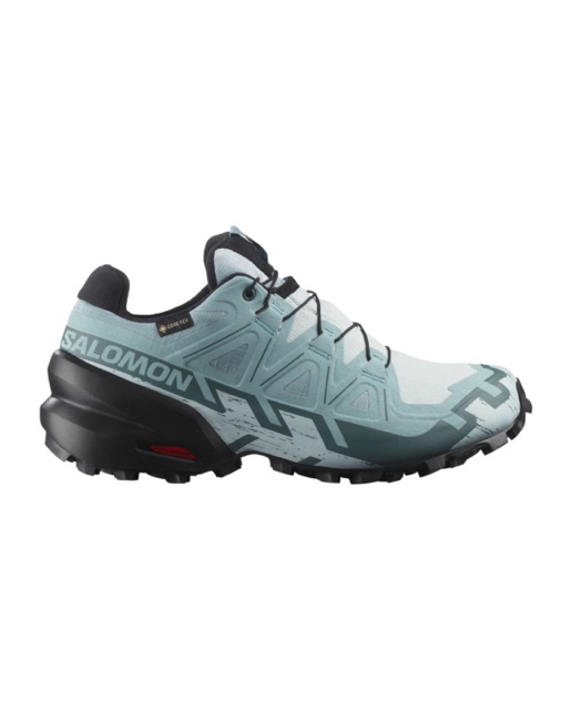 Salomon Speedcross 6 GTX