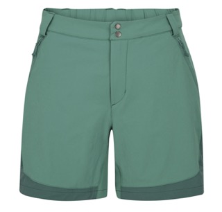 Torque Mountain Shorts
